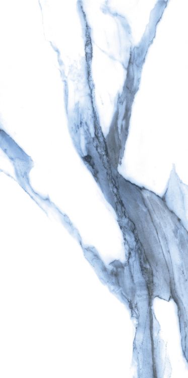 Calacatta Blue Matte 12 x 24